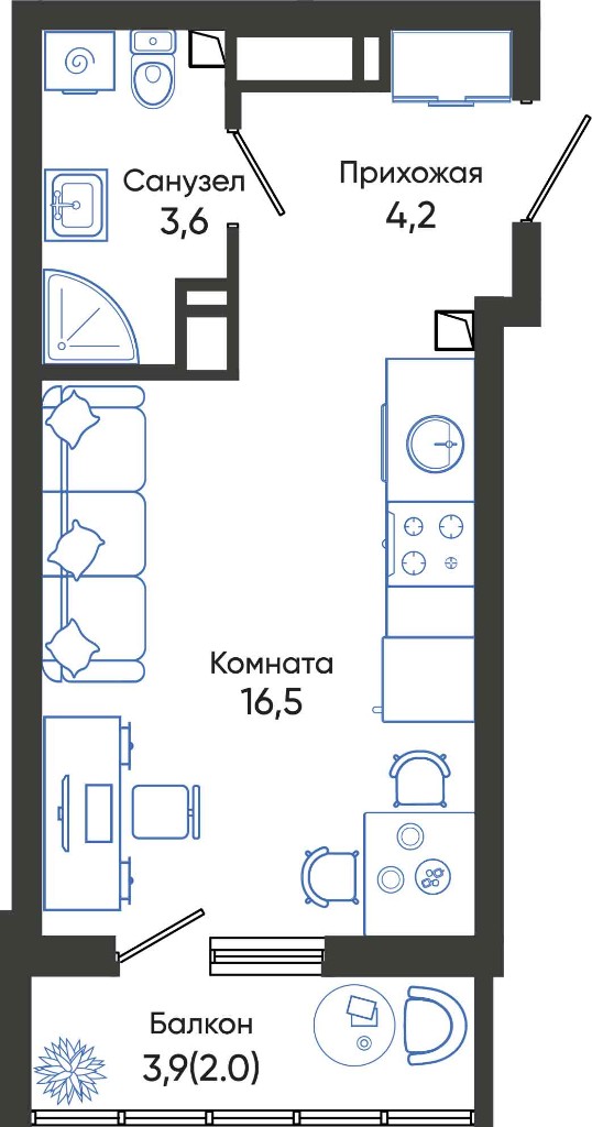 Планировка студии